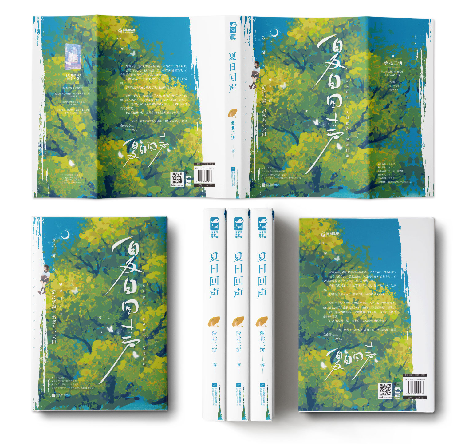 【前40得签名卡】夏日回声 萝北二饼 青春文学久别重逢校园暗恋甜宠文言情小说实体书 - 图1