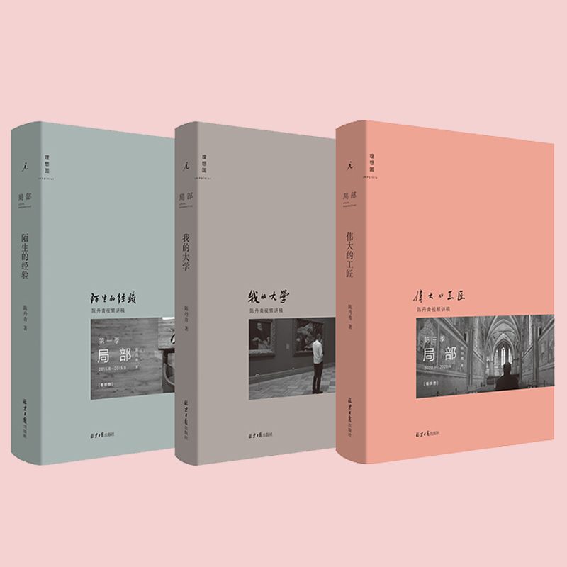 正版 陈丹青局部套装1-2-3 陌生的经验(新版)+我的大学+伟大的工匠 美学中西艺术理论的书籍 西方艺术史纽约琐记退步集 理想国 - 图0
