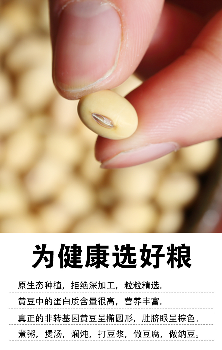 新黄豆非转基因笨黄豆农家自种土黄豆五谷杂粮打豆浆做豆腐黄豆 - 图2