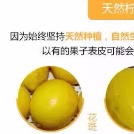 老果安岳新鲜黄柠檬皮薄汁多二三级9斤包邮水果榨汁切片水吧 - 图2