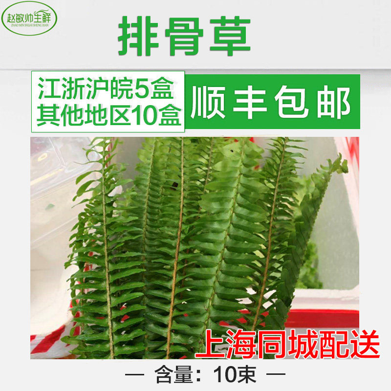 新鲜排骨草/情排草 1件10支 5件包邮锯齿蕨富贵蕨装饰食用花西餐_虎窝淘