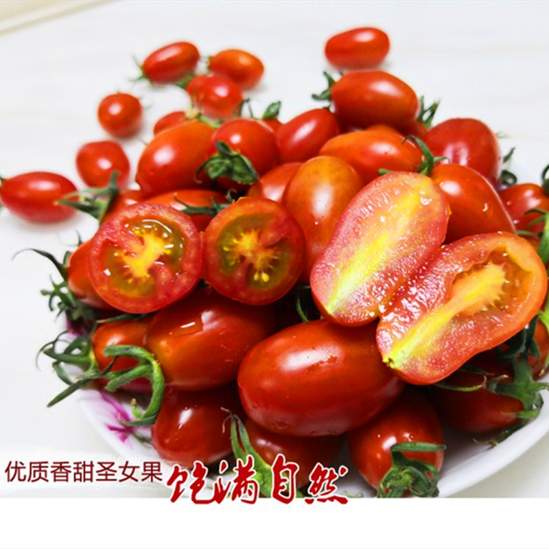 花生番茄种子樱桃西红柿种籽特色圣女果番茄种苗蔬菜秧苗超越409,淘宝优惠券,粉丝福利购,淘宝优惠卷