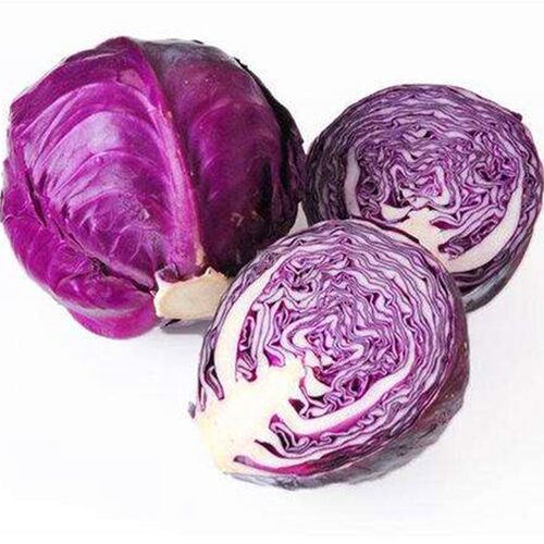 紫甘蓝种子紫色包菜种籽卷心菜大头菜洋白菜特色蔬菜种子四季紫云 - 图3