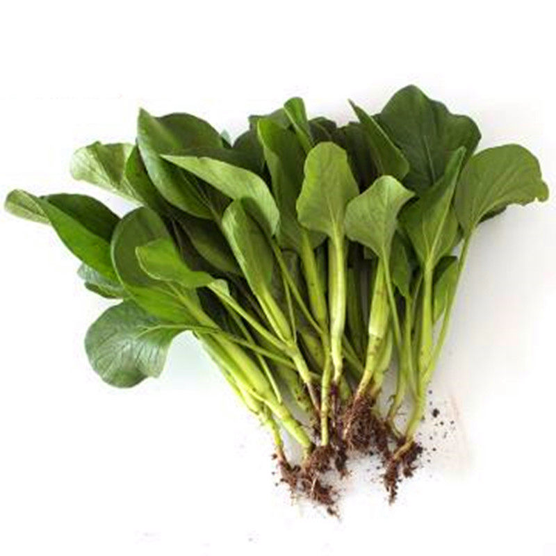 鸡毛菜种子上海小油菜种籽青菜速生小白菜种子口感嫩四季盆栽包邮,淘宝优惠券,粉丝福利购,淘宝优惠卷