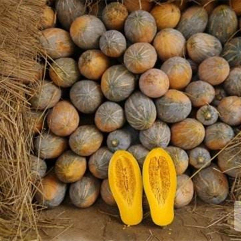 早熟甜蜜本南瓜种子秘本密本南瓜种籽粉糯面甜四季蔬菜种子包邮,淘宝优惠券,粉丝福利购,淘宝优惠卷