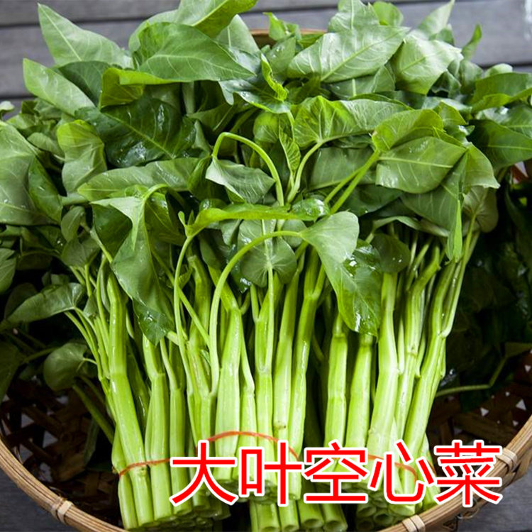 空心菜种籽柳叶大叶竹叶通菜种子四季高产盆栽蔬菜种子高产包邮_虎窝淘