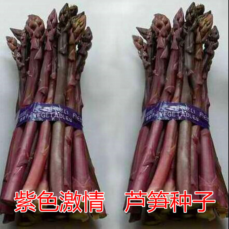 芦笋种籽特色蔬菜种子紫色芦笋种四季蔬菜种植高产多年收包邮,淘宝优惠券,粉丝福利购,淘宝优惠卷