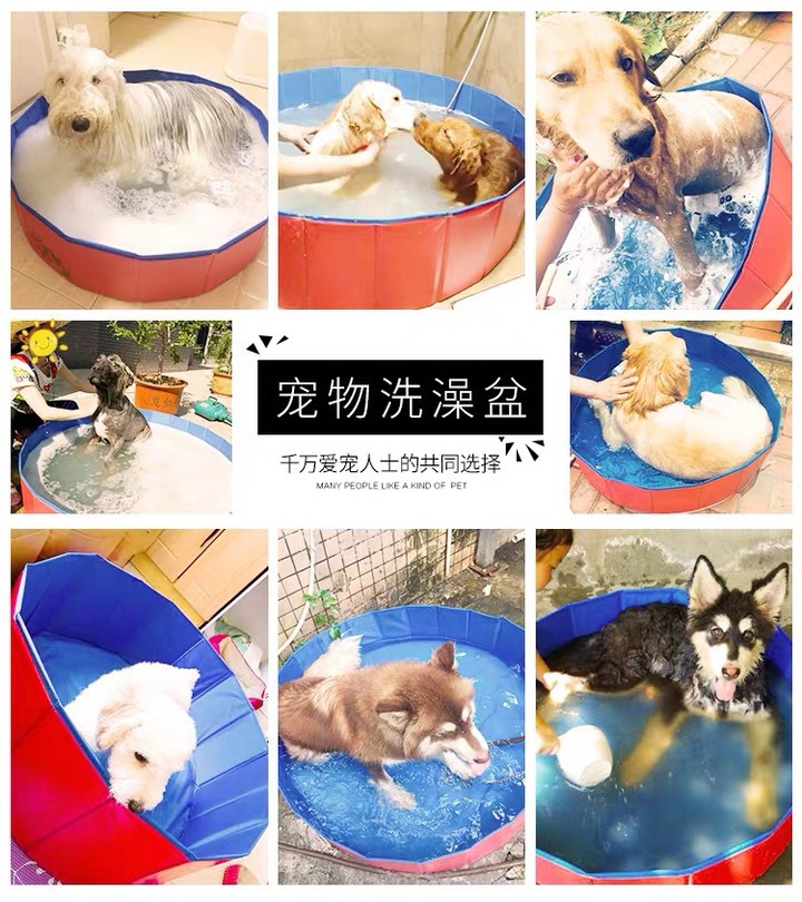 宠物洗澡盆可折叠大型犬金毛狗狗专用游泳池浴缸洗澡桶洗猫咪浴盆-图1