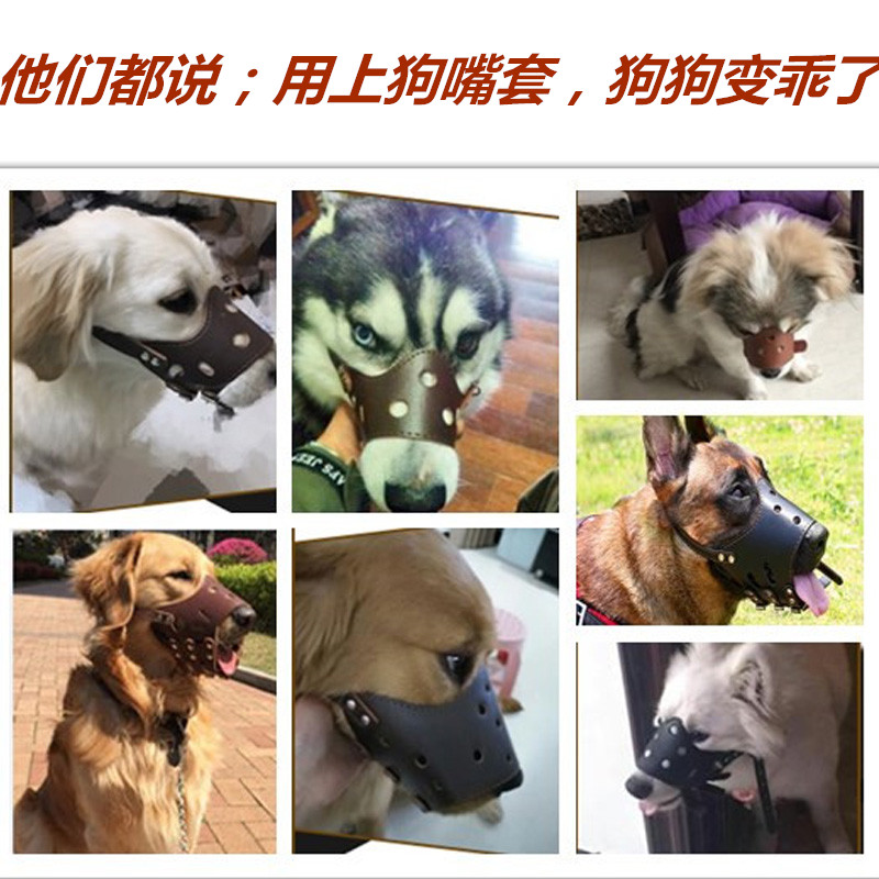 狗狗嘴套防咬防叫狗口罩中大型犬金毛萨摩耶马犬止吠器防乱吃狗套 - 图1