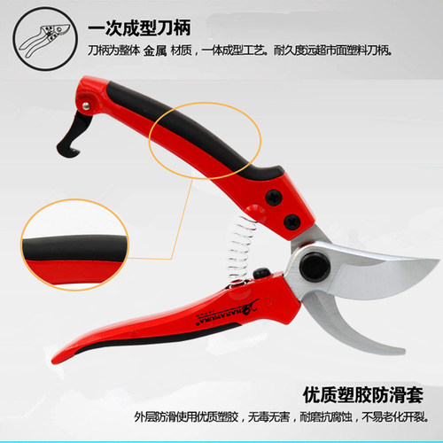 日本进口花心兰修枝剪树枝剪刀剪枝果木剪刀园艺修枝花艺修花修树 - 图1