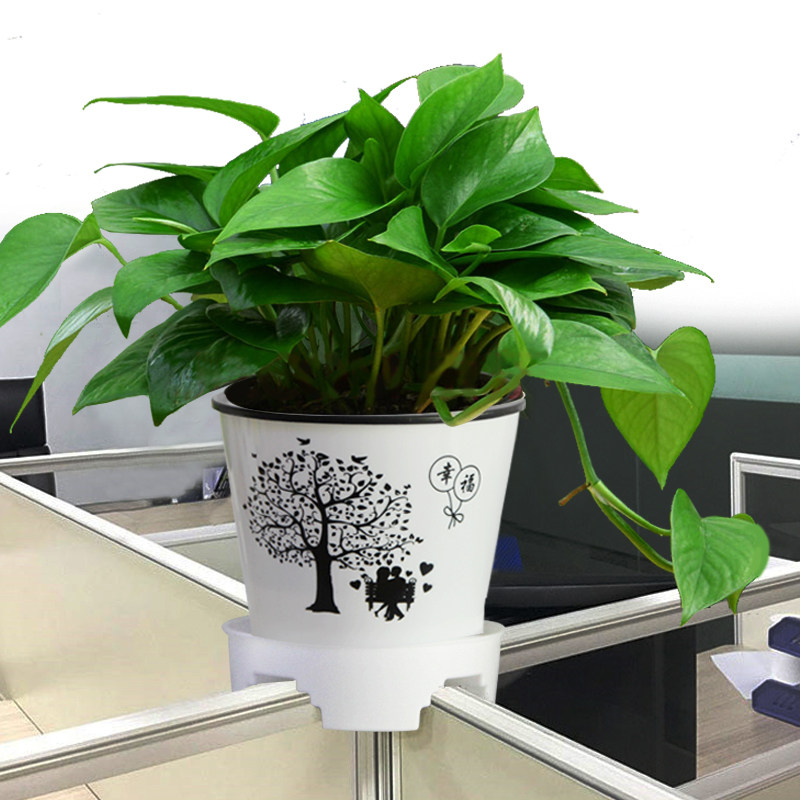 办公室屏风隔断塑料花盆工位花托盘t字十字托盘托架植物底盘盆垫 北京360园艺 淘优券