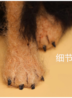 猫猫狗狗羊毛毡还原定制