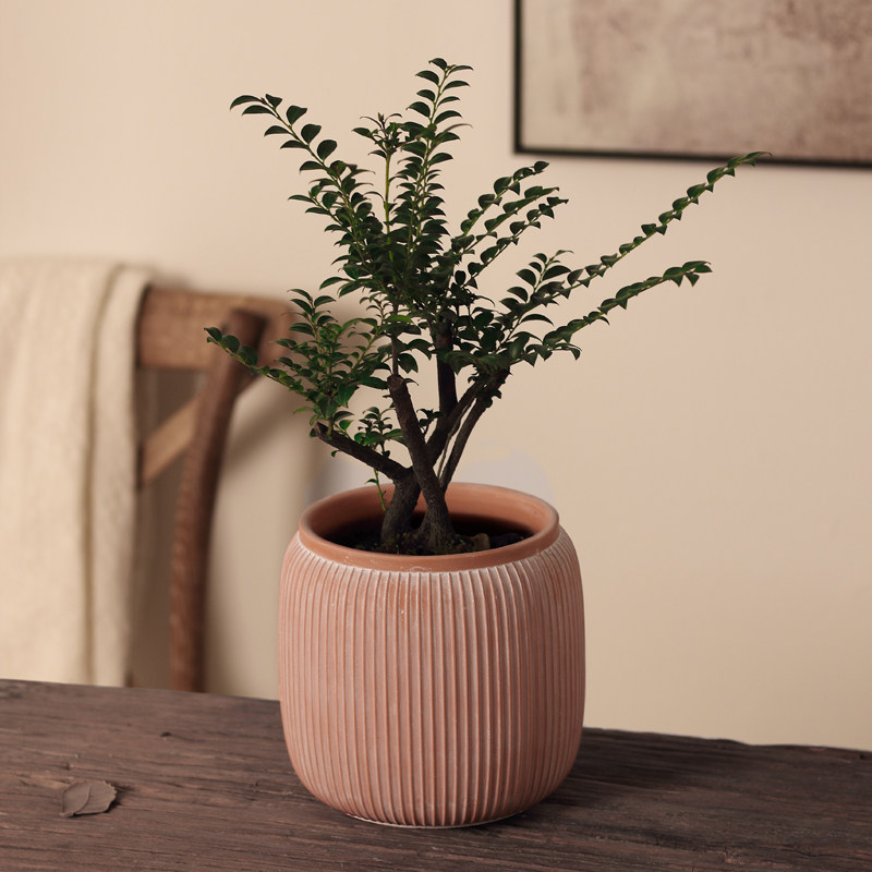复古浮雕细纹红陶花盆新中式陶土盆客厅书房绿植简约仿旧花器陶瓷,淘宝优惠券,粉丝福利购,淘宝优惠卷