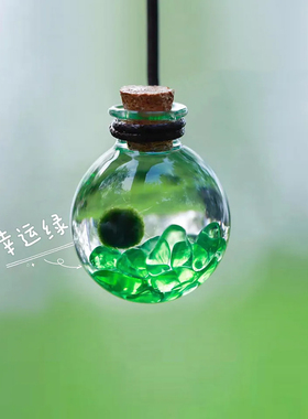 海藻宠物diy随身水晶许愿瓶