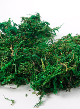 diy永生花玻璃罩微景观填充物