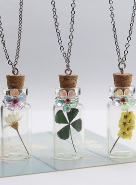 跨境清新植物干花项链