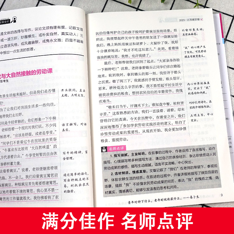 冲刺2024 最新五年中考满分作文全解全析 2019-2023初中生作文书七八九年级教辅中考作文书大全课外辅导书 易佰作文 - 图2