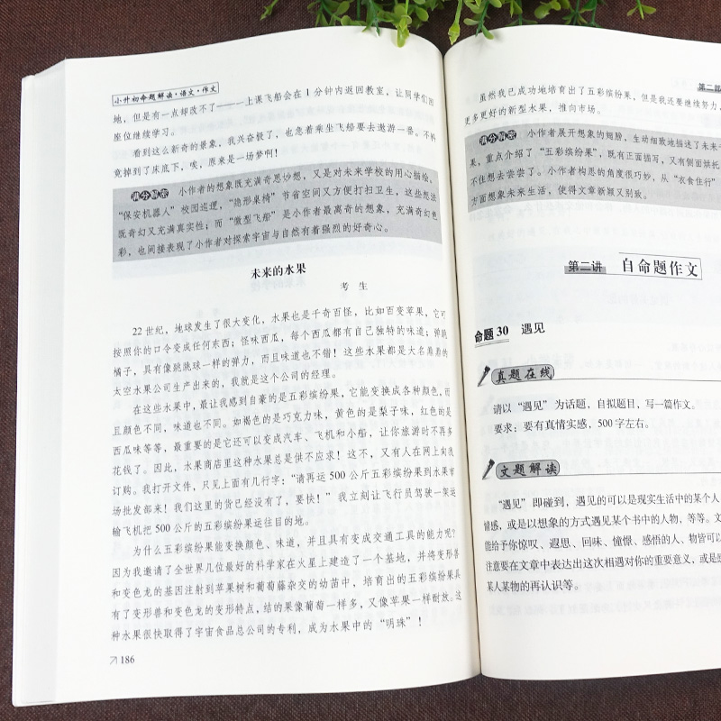 新版 68所名校小升初命题解读作文语文小升初语文专项训练辅导练习册小升初满分作文小学升初中必备名校冲刺知识大集结总复习书籍-图2