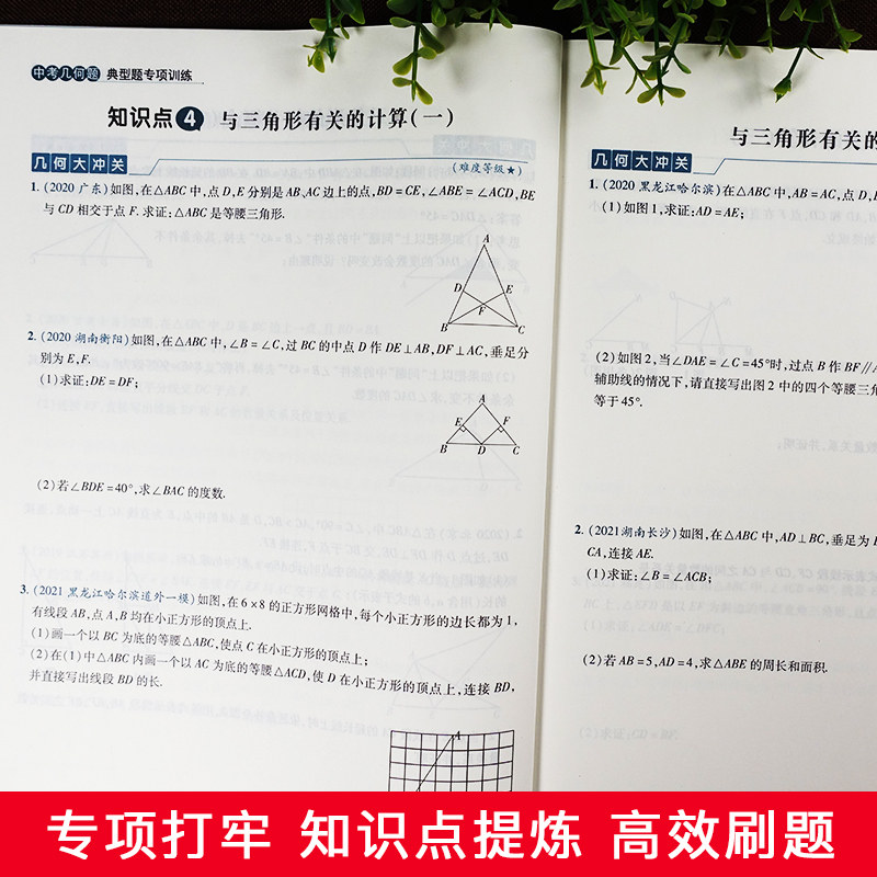 初中专项训练数学代数几何计算典型题7七8八9九年级上下册全套同步中考版初一二三练习题册必刷题教材全解书_虎窝淘