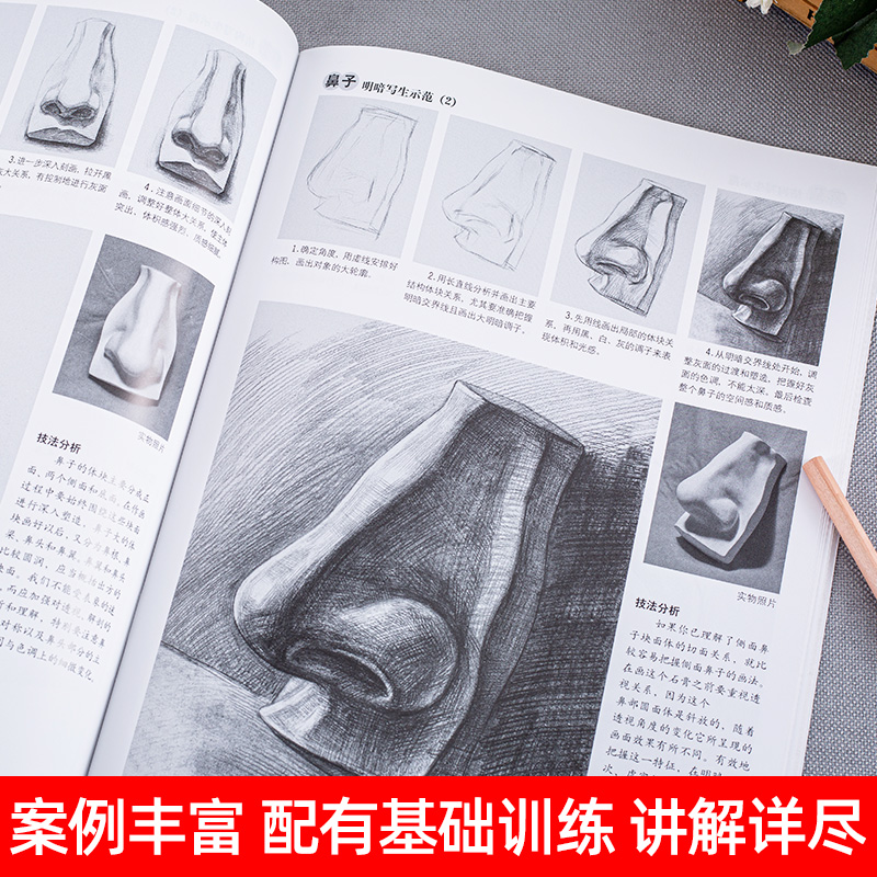 素描基础教程第4册从结构到明暗石膏头像 高考艺考铅笔画手绘素描入门自学零基础绘画 画画本教程书临摹人物画教程速写美术素描书