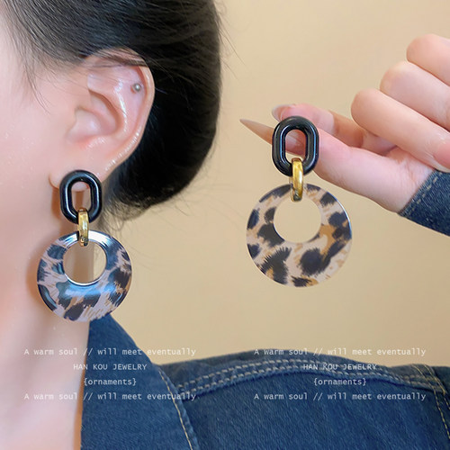 秋冬复古港风豹纹耳环女2025新款高级感小众设计独特气质耳圈耳饰 - 图0