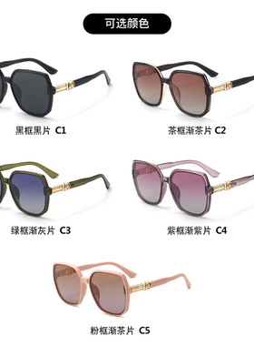 2026新款大框偏光太阳镜时尚潮流舒适气质女士墨镜个性防紫外线