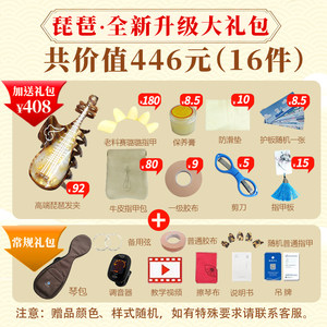 【视频选琴】星海琵琶专业演奏考级初学练习鸡翅木琵琶凤尾琵琶