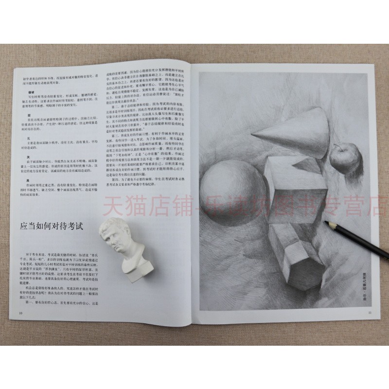 素描技法入门 孙尔,孙明胜 素描技法从入门到精通 人物素描技法 石膏头像素描书 几何体临摹范本 素描基础教程 中国美术学院教材