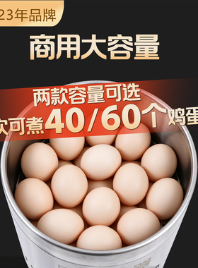 折源王商用定时定温煮蛋器溏心蛋