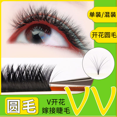 一秒开花睫毛嫁接鸢尾花v型睫毛0 05双笙花圆毛超柔软大v毛浓密 虎窝淘