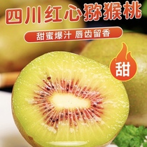 Sichuan Phujiang Zhengzong Authentic Red Heart Macaque Exotic fruit Fresh off the whole box Special grade Big fruits When pregnant women of the season