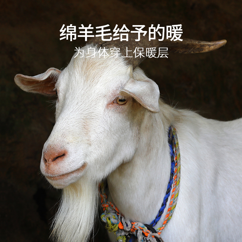 金利来男士保暖裤男款毛裤加厚秋裤打底裤冬季棉裤绒裤线裤羊毛