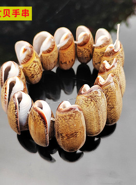 海螺手链女生贝壳材质海洋风