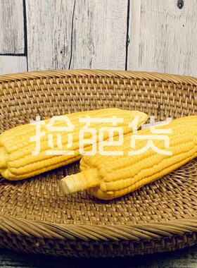高仿真平茹玉米毛竹笋装饰摆件逼真蔬菜模型家居餐厅橱窗摄影道具