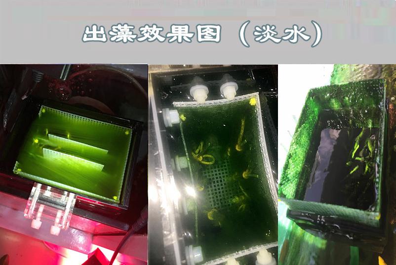 UAS藻盒内置超级ATS 鱼缸生态过滤器 内置藻盒除no3po4营养盐控制 - 图2