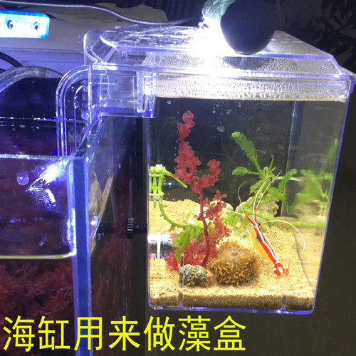 建荣BB10带水泵外挂繁殖隔离盒海缸微缸外置藻盒藻缸训食盒孵化盒 - 图1