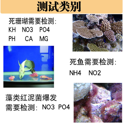 沙利法莎利法莎莉法测试剂KH钙PO4氨NO3镁NO2铜PH碘海水鱼缸水质 - 图2