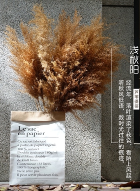 装饰摆件大穗落地牛皮纸袋干花