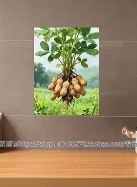 新款白菜入门财运亨通蔬菜贴画厨房玻璃门窗冰箱衣柜遮瑕自粘贴纸