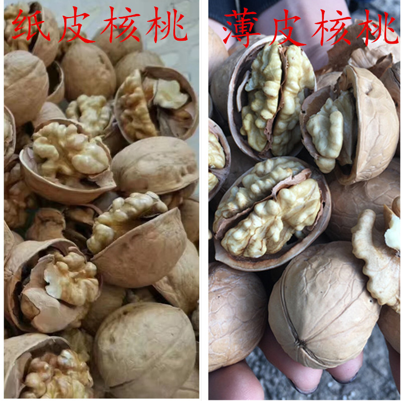 新货纸皮核桃185新疆阿克苏500g新货薄壳孕妇新鲜散装1斤全国包邮 - 图1