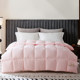 Hengyuanxiang quilt winter quilt spring and autumn quilt space quilt