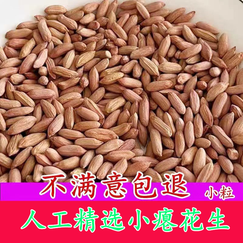 山东瘪花生米生新花生小粒生花生仁甘甜养胃秕子花生零食 - 图0