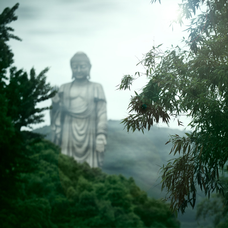 无锡灵山大佛鼋头渚太湖景区门票跟团二日游纯玩高星酒店飞猪旅行