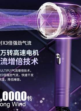 电吹风机家用大风力发廊大功率理发店负离子护发静音速干冷热风筒