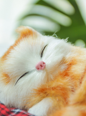 仿真动物礼物熟睡家居饰品