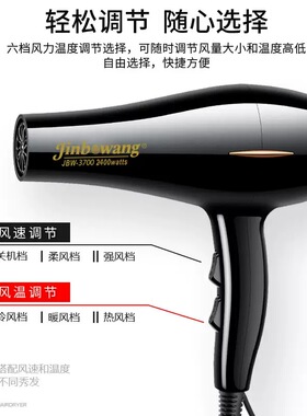 家用大功率发型师静音电吹风机