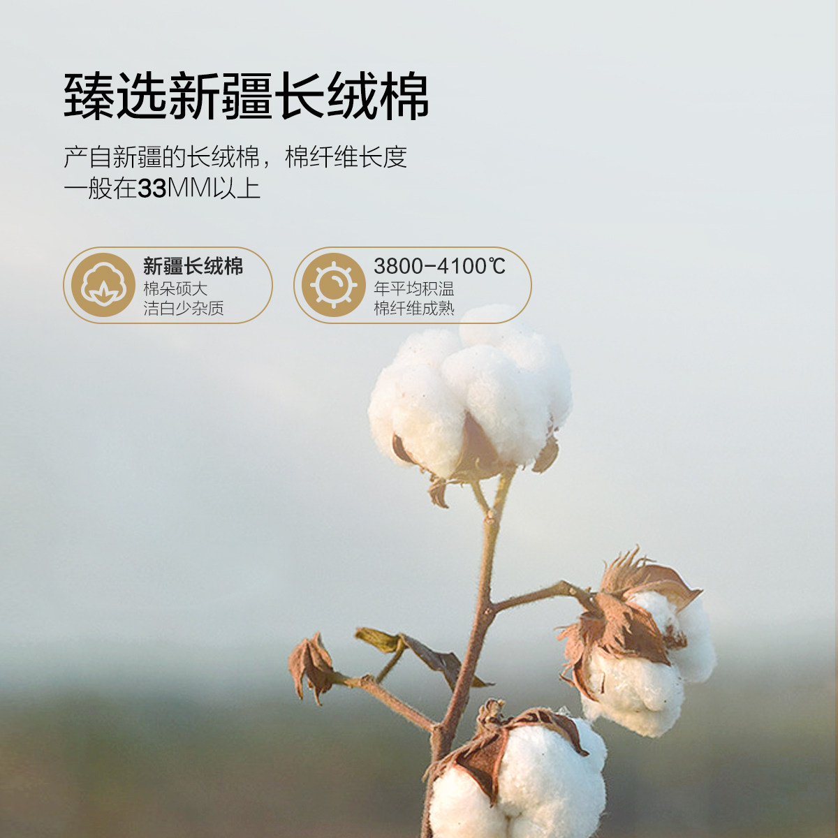 水星家纺60S长绒棉印花四件套纯棉轻奢贡缎套件全棉床单被套床品,淘宝优惠券,粉丝福利购,淘宝优惠卷