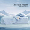 Mercury Home Textiles Summer Cooling Antibacterial Four-piece Set