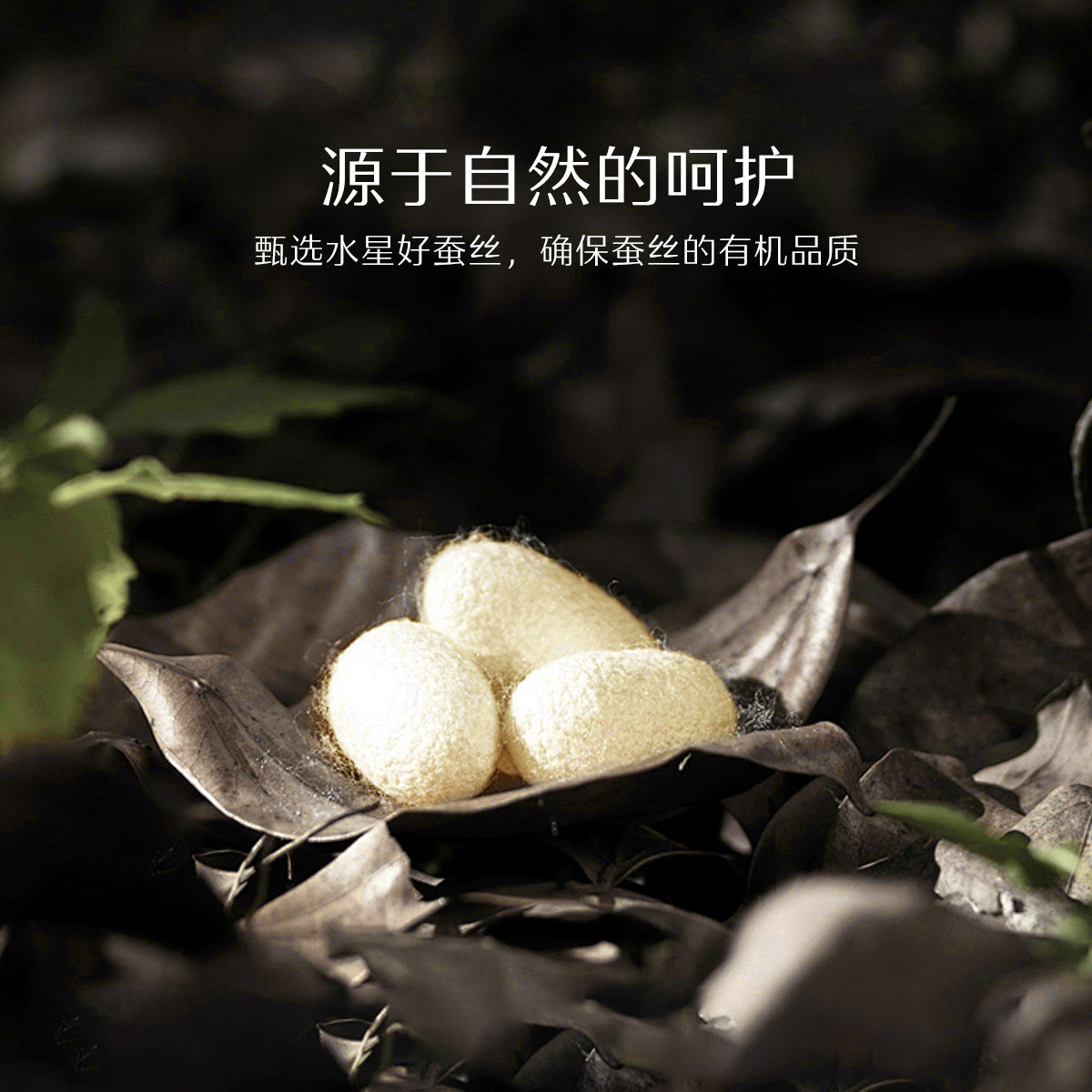 水星家纺蚕丝枕头一对装正品枕芯A类抑菌呵护颈椎助睡眠成人床品,淘宝优惠券,粉丝福利购,淘宝优惠卷