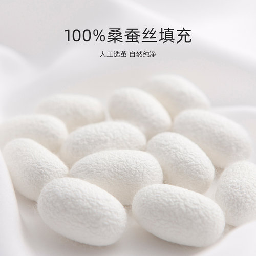 水星家纺蚕丝被100%桑蚕丝春秋被芯全棉冬被二合一子母被子床品 - 图0